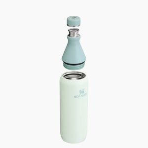 Stanley All Day 20oz Slim Bottle